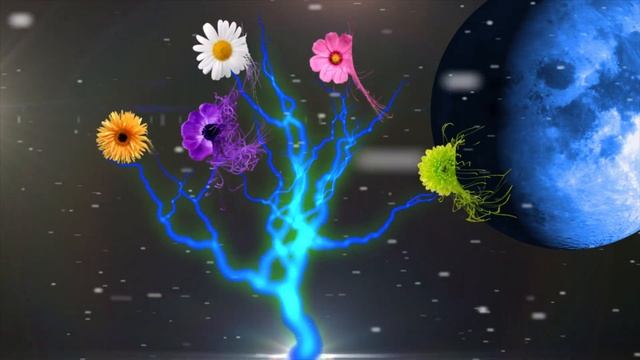 Футаж ФАНТАЗИЯ скачать бесплатно смотреть онлайн