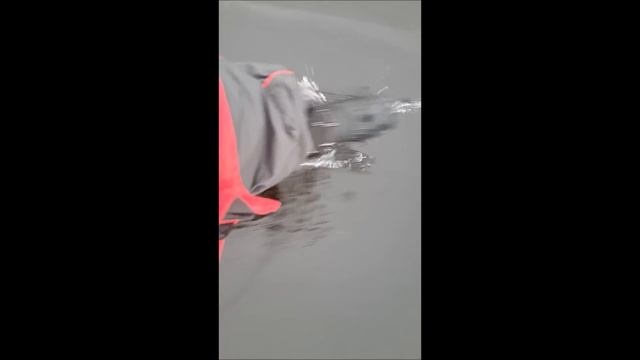 Весьегонская рыбалка смотреть онлайн