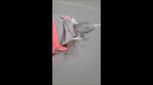Весьегонская рыбалка