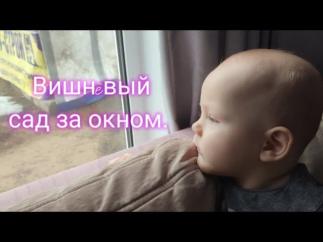 Садим с сыном вишнëвый сад. смотреть онлайн