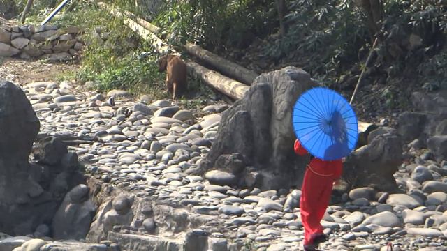 " Going Home "......Yangtze River Three Gorges...Tribe of the Bamboo Forest ! смотреть онлайн