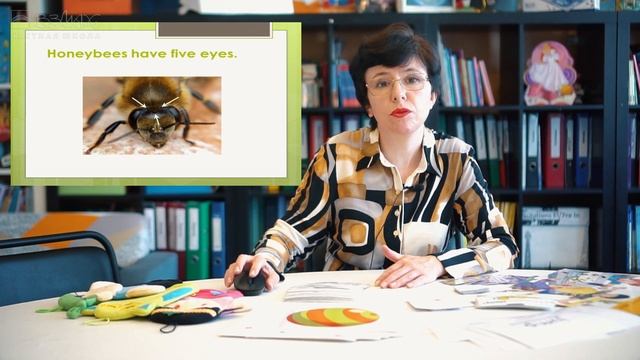 Изучаем английский язык в младших классах весело и навсегда. Учим наизусть. Частная школа «Взмах» смотреть онлайн