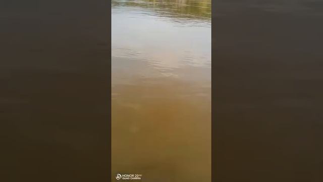 Якутия. Река Алдан. Старатели,,стараются,, смотреть онлайн