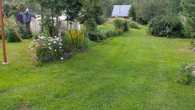 Дом с участком в 33 сотки в живописном шикарном месте в село Быково в Новосибирской области!!! смотреть онлайн