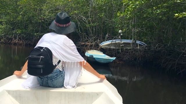 Дьявольские слезы и Мангровые леса на острове Нуса Лембонган смотреть онлайн