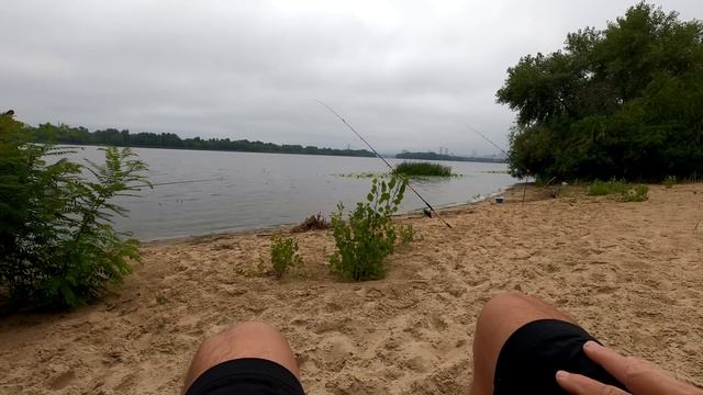 Как быстро поймать живца/Рыбалка на живца с берега/Судак Окунь/Видеоотчет Август 2022 смотреть онлайн