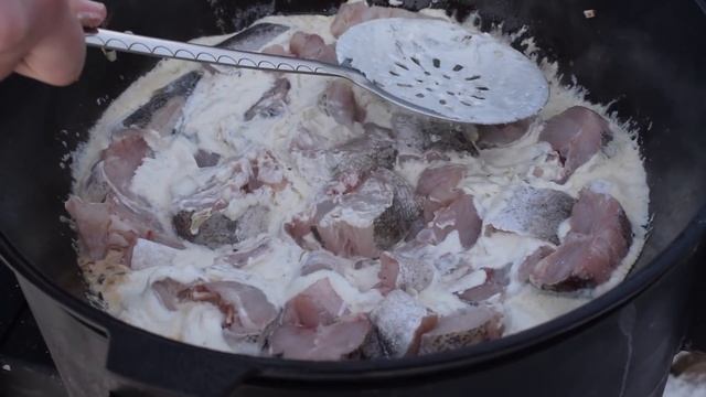 Рыба в казане на костре | Хек в сметане смотреть онлайн