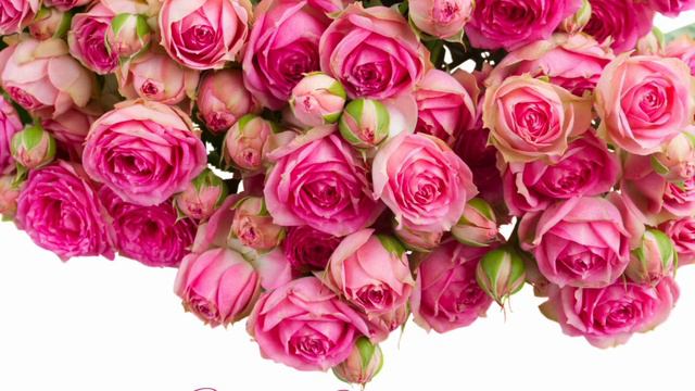 Kenan Doğulu - Tencere Kapak 💗