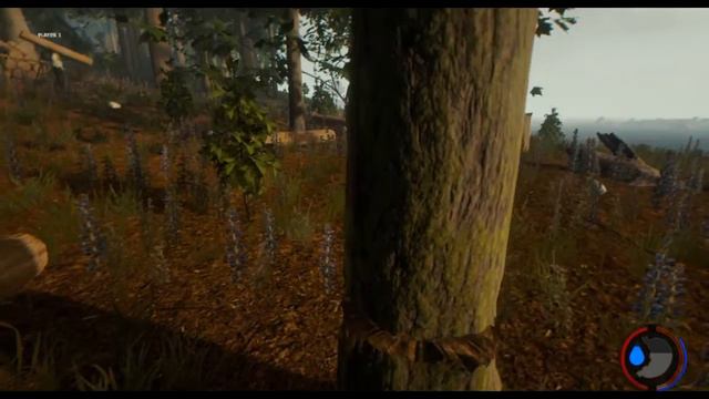 The Forest в поисках лучшей жизни, кооператив смотреть онлайн