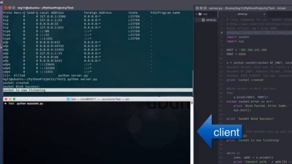 Python socket program Server/ Client with Android Client