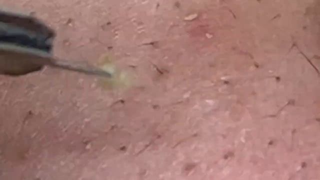 الوقت المناسب مع فيديوهات الغاز الطبيعي المسال #SDS 2197