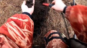 Коп в Ростовской области. Серебро Золотой Орды.