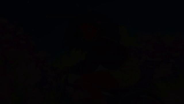 Chill Weekend LoFi ~ Old Cassette Relaxing Lofi __ Lofi hip-hop chill beats