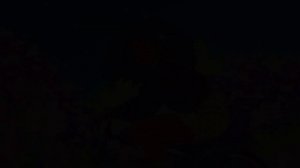 Chill Weekend LoFi ~ Old Cassette Relaxing Lofi __ Lofi hip-hop chill beats