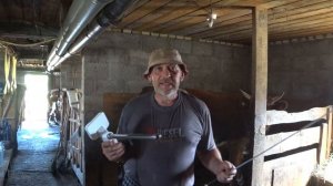 Покрываю Джессику . Немного о пистолете для осеменения .