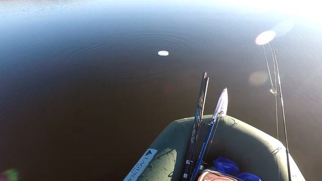 Рекорд по карпу на боковой кивок побит!!!+рыбалка на щуку с кружками. смотреть онлайн