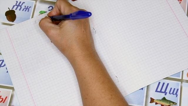 Единый орфографический режим. Критерии оценок по русскому языку и математике смотреть онлайн