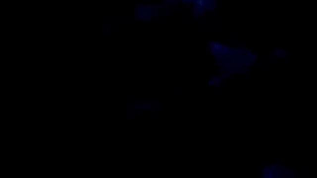 Street Fighter II The Animated Movie 1994 HD Español Latino XviD1 смотреть онлайн