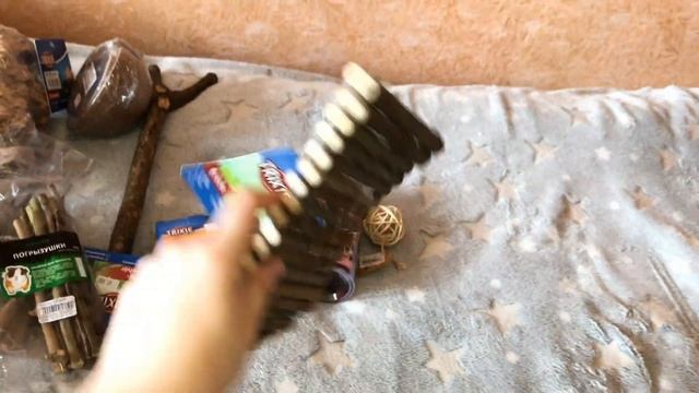 ПОКУПКИ ИЗ ЗООМАГАЗИНА. Товары для дегу, крыс, хомяков смотреть онлайн