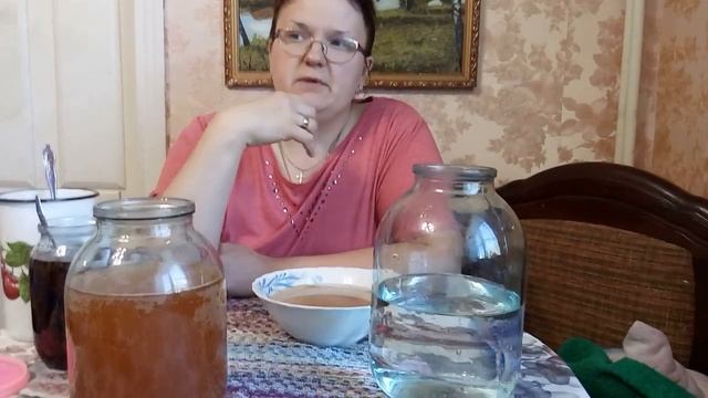 Польза и свойства чайного гриба смотреть онлайн