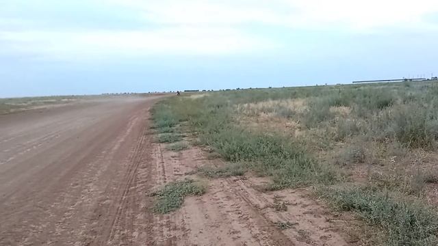 Motolang flash200 смотреть онлайн
