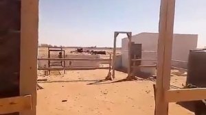 Где камбуля?)