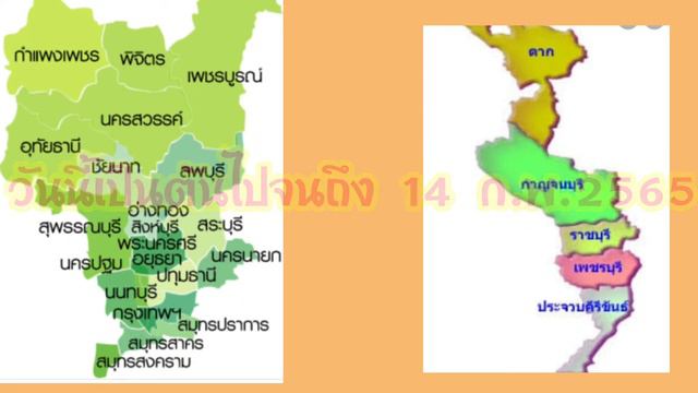 #บอนนาไทยด่าง การประกวดบอนนาไทยโซนภาคกลางและภาคตะวันตก คนรักบอนนาไทยห้ามพลาดคลิบนี้ смотреть онлайн