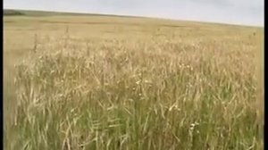 09 Калужская область Сельское хозяйство