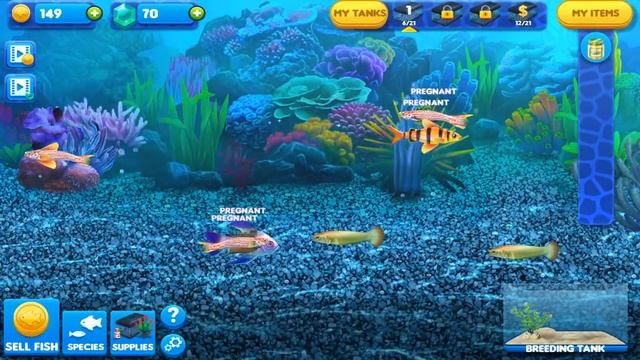 Fish Tycoon 2 Virtual Aquarium Android Gameplay ᴴᴰ смотреть онлайн