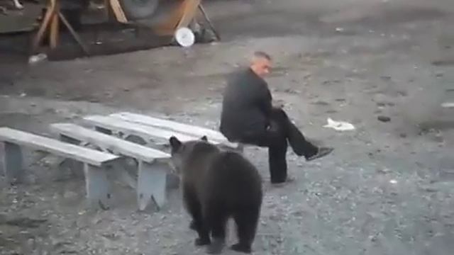 Русского мужика даже медведь боится. смотреть онлайн