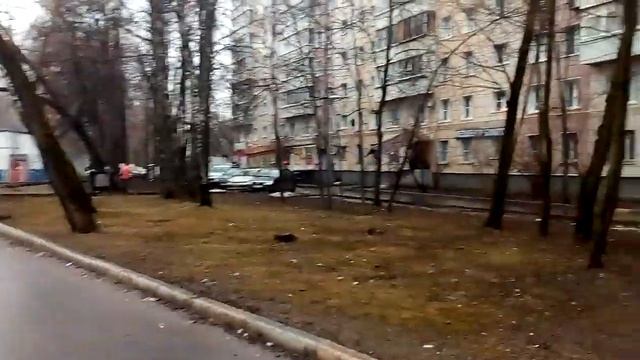Москва 2176 Бирюлёвская улица весна день