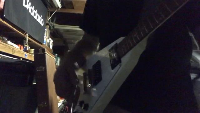 New Noodle/ Dsl40c’s смотреть онлайн