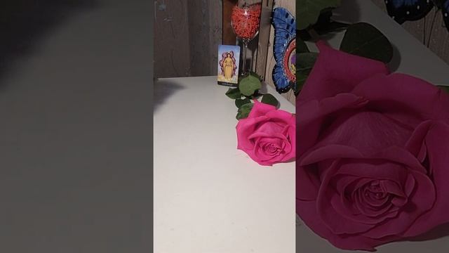 УТРО НАЧИНАЕТСЯ НЕ С КОФЕ ☕️? Прогноз на неделю с 8 по 14 августа для 4-х королев? смотреть онлайн