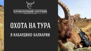 Охота на тура в Кабардино-Балкарии