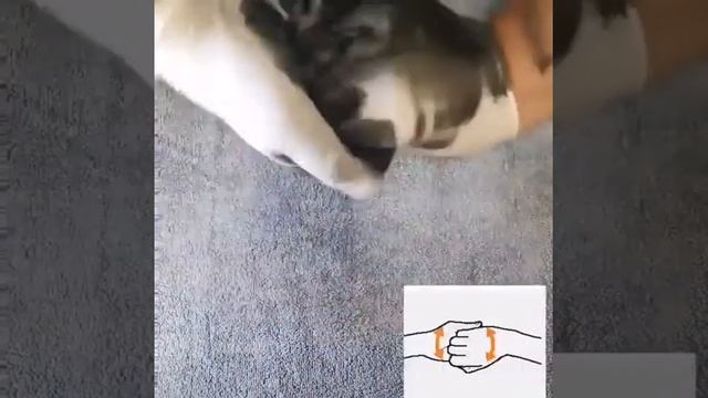 Как надо мыть руки смотреть онлайн