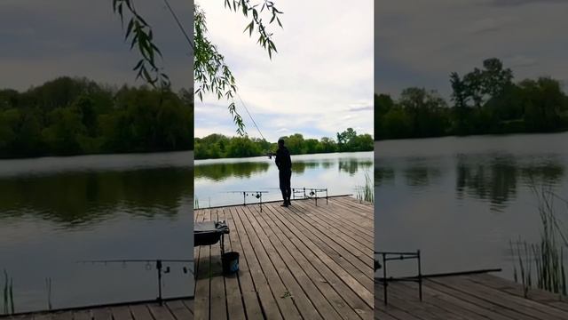 ✅Заброс карпового удилища#рыбалка#удилище#отдых смотреть онлайн