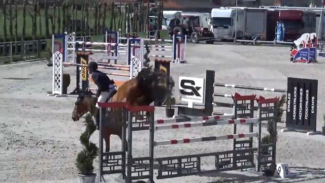 stal wellens: domenco 8y (cornet stern x stakkato) 140*** jump off смотреть онлайн