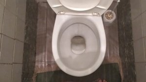 Урок! Как правильно пользоваться туалетом