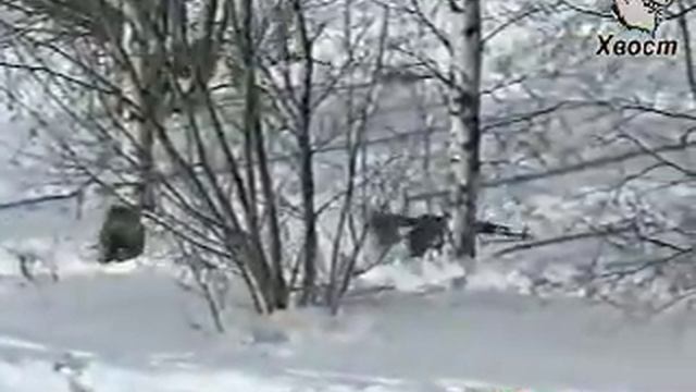 ВДВ ( голубые береты)\ VDV (russian airborne troops, blue berets) смотреть онлайн