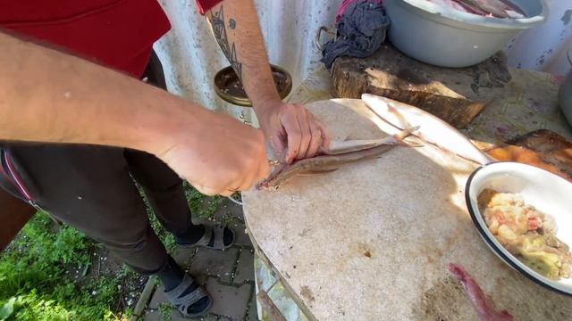 Как правильно солить и сушить Чехонь. Солёная рыба в домашних условиях смотреть онлайн
