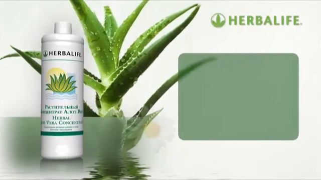 Алла Шилина. Какой должен быть завтрак смотреть онлайн