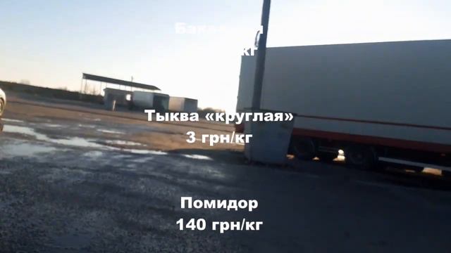 Цены 28.12.2022 на рынке Копани смотреть онлайн