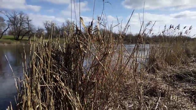 Ловля на паук,рыбы мало смотреть онлайн