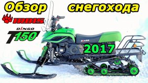 Снегоход Irbis Dingo T150 2017 г., обзор и небольшой тест-драйв. Ирбис Динго 2017.