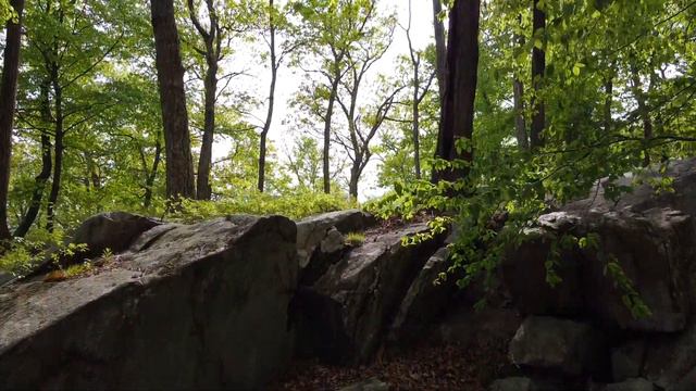 Маленькая Карелия в предместье Нью-Йорка. Pine Meadow Lake, Harriman State Park. Aerial footage смотреть онлайн