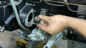 How to adjust and install OM615 injection pump?