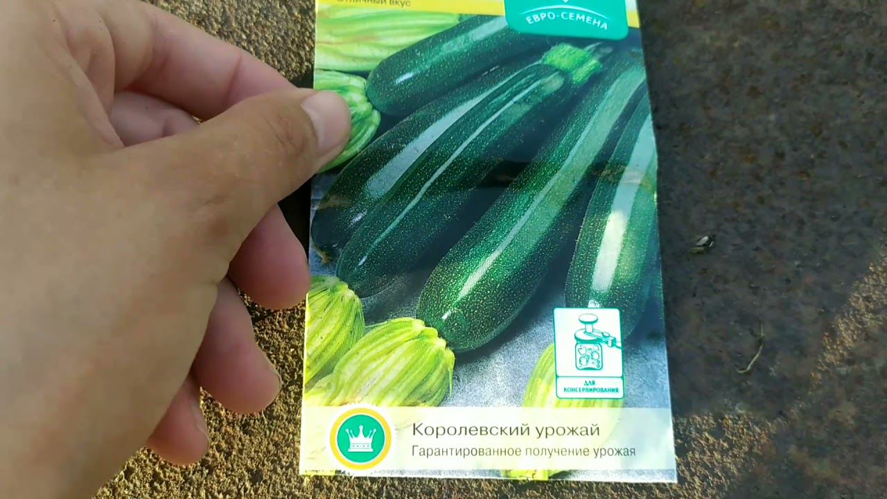 VLOG/МОИ 4 СОТКИ/ПОСАДКИ ПРОДОЛЖАЮТСЯ/УБОРКА ТРАВЫ/ЕЖЕДНЕВНЫЕ ВЛОГИ/ДАЧНЫЙ ВЛОГ/САЖАЕМ ЛУК смотреть онлайн