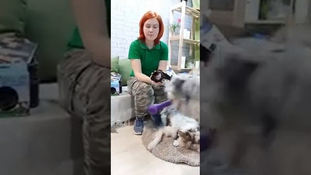 Кулинарные рецепты