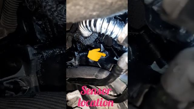 Peugeot Partner, 1.6d cylinderreference signal incorrect P0344.The engine does not start. смотреть онлайн