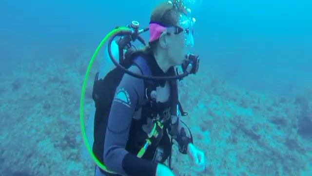 Доминикана,январь 2014 смотреть онлайн